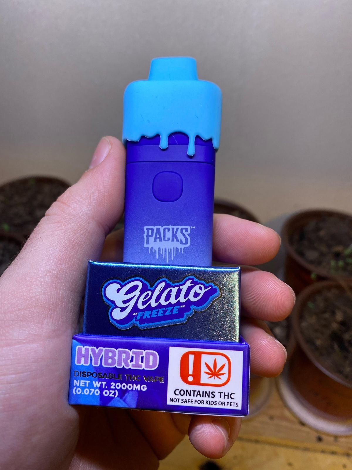 GELATO